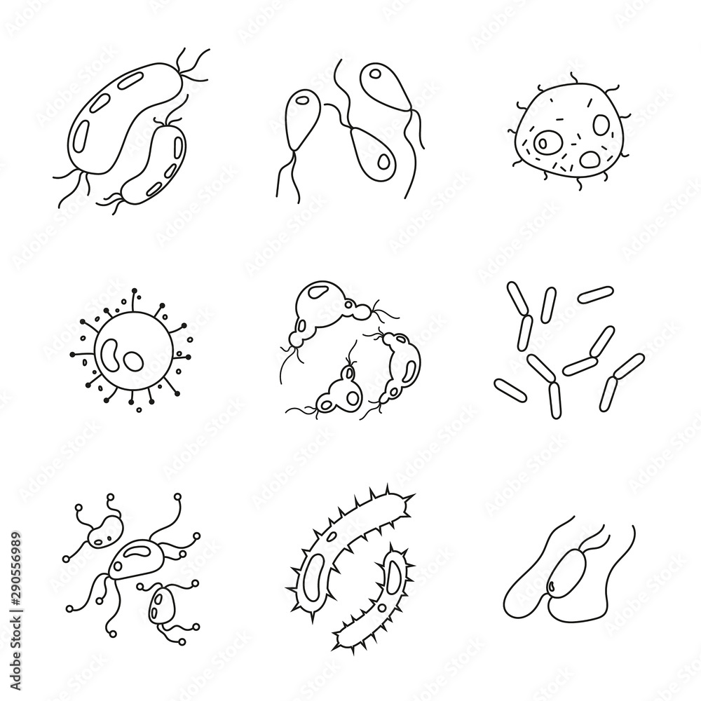 Bacteria and germs set, microorganisms disease causing objects. Illness bacilli, microbes, viruses and microorganisms outline vector icons.