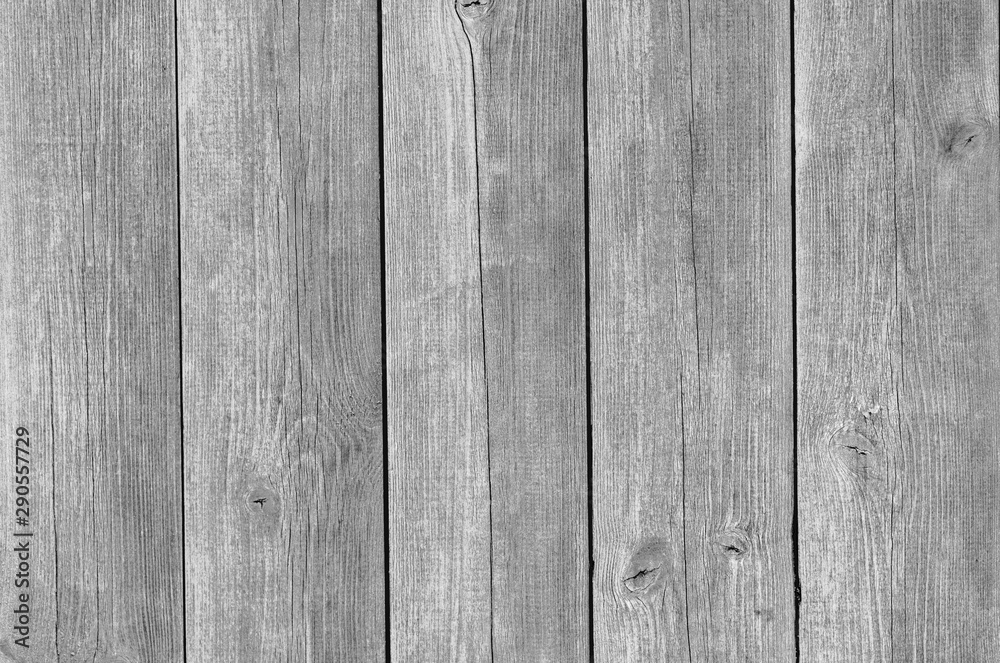 Fototapeta premium Abstract wooden texture background. Grey and white wood plank.