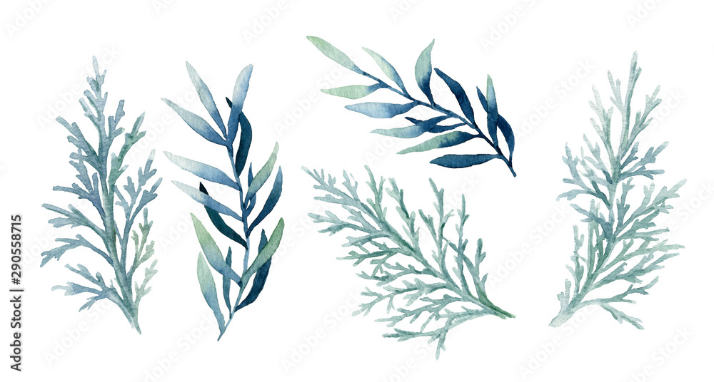 Set of blue leafed branches and thuja branches hand drawn in watercolor isolated on a white background. Design elements for patterns, wreathes and frames in floral style.
