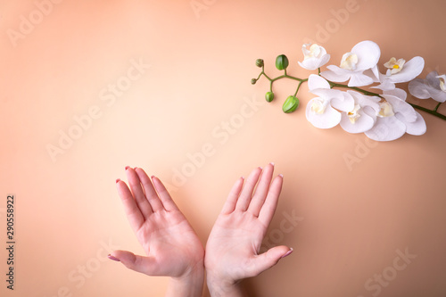 Fashion  female hands with manicure  nail care  white orchid flowers  concept of healthy skin and natural cosmetics. Top view contrasting against a powdery background.