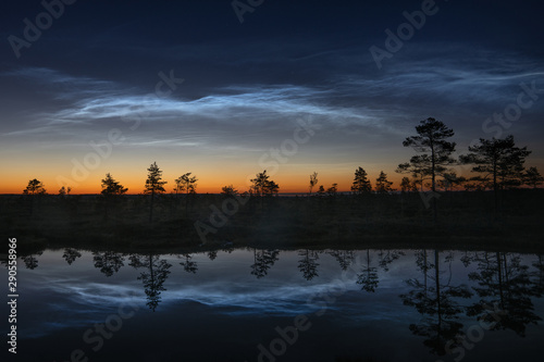 Noctilucents clouds reflecting from bog pond