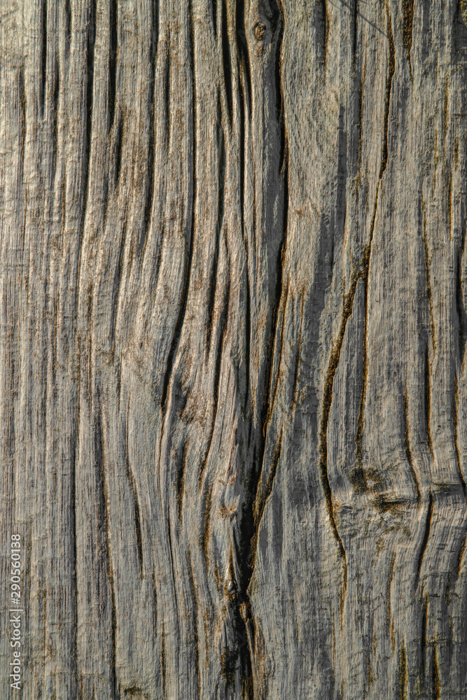 old wood texture background