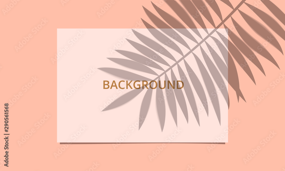 Mockup with Palm leaf shadow overlay. White paper sheet on peach color background with natural light effect. Realistic vector illustration.