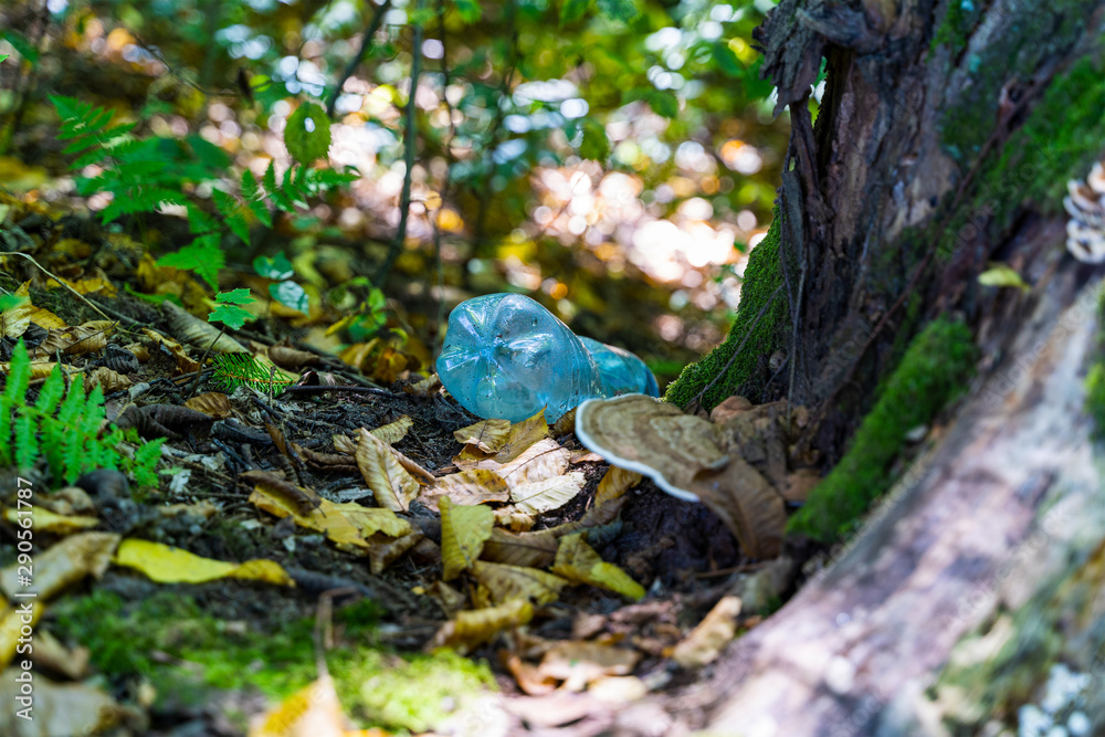 A blue water bottle beside a tree stump.