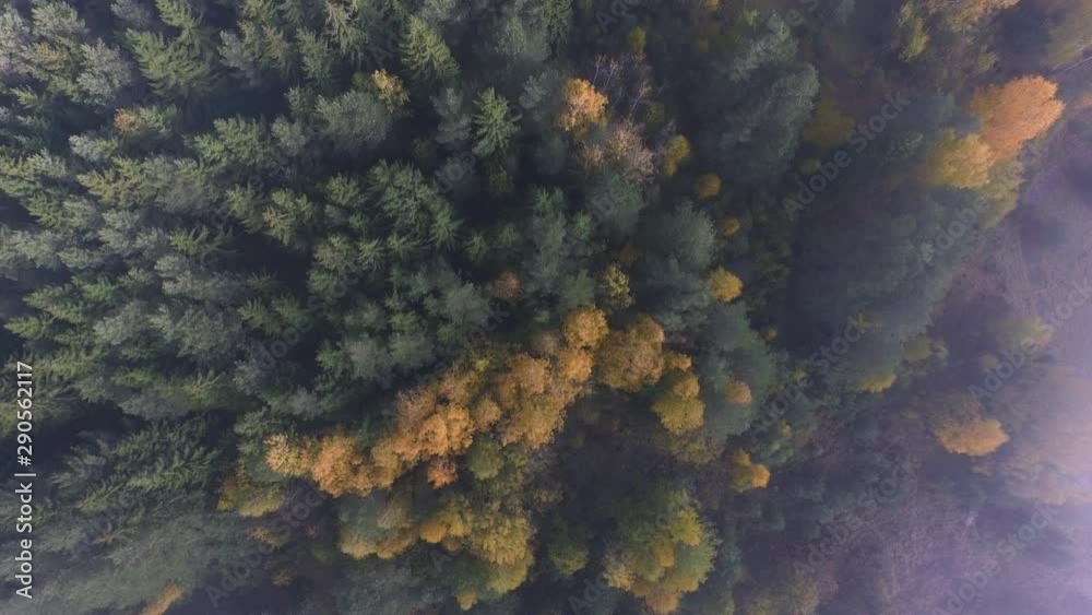 Seasonal forest aerial view in fall and early morning sunlight and low clouds. Seasonal forest aerial view in fall and early morning sunlight and low clouds.