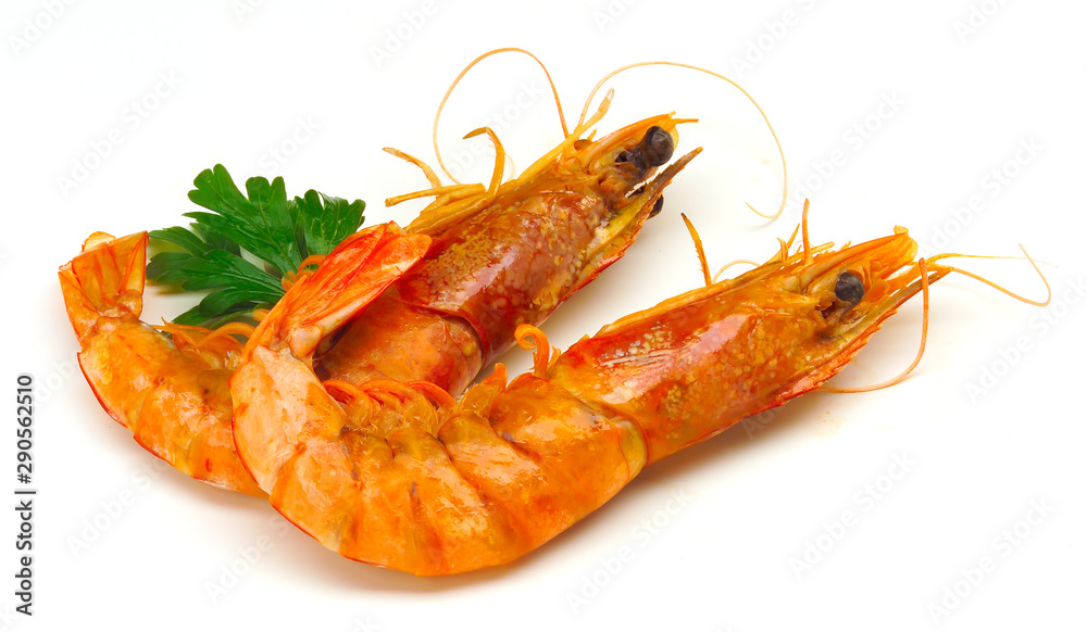 Study of prawns in shells against white background Study of prawns in shells against white background