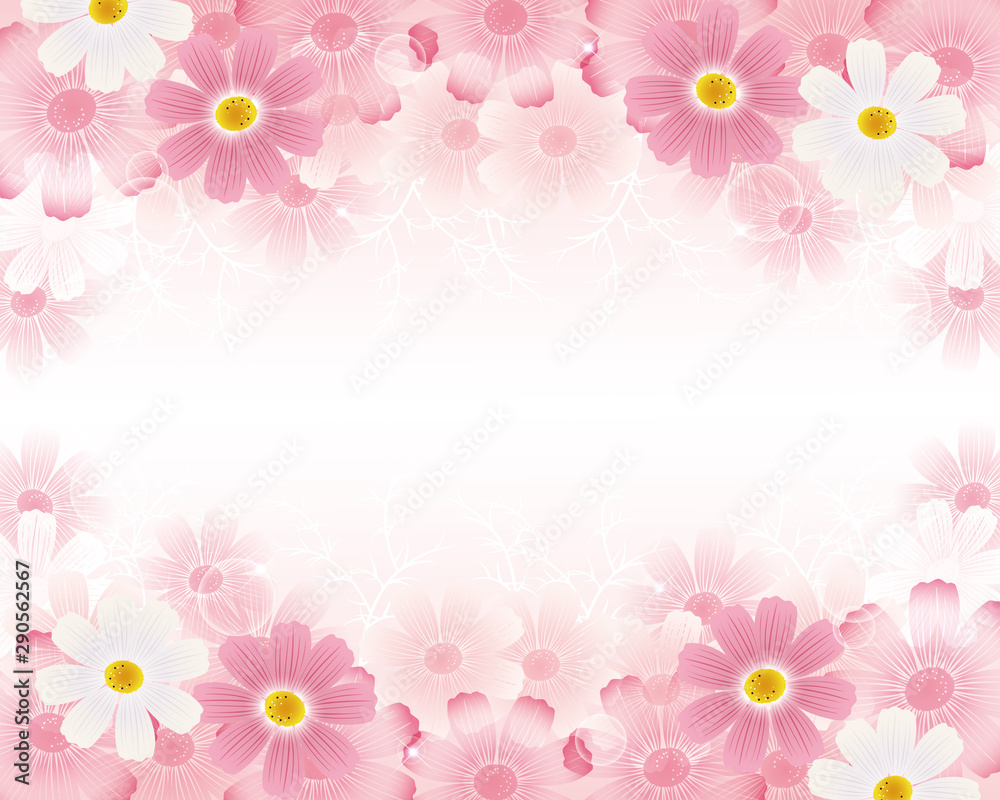 Autumn background with cosmos flowers