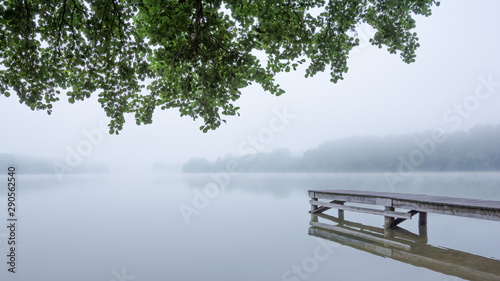 poranna mgła nad jeziorem