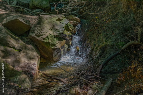 Fototapeta Naklejka Na Ścianę i Meble -  stream in forest