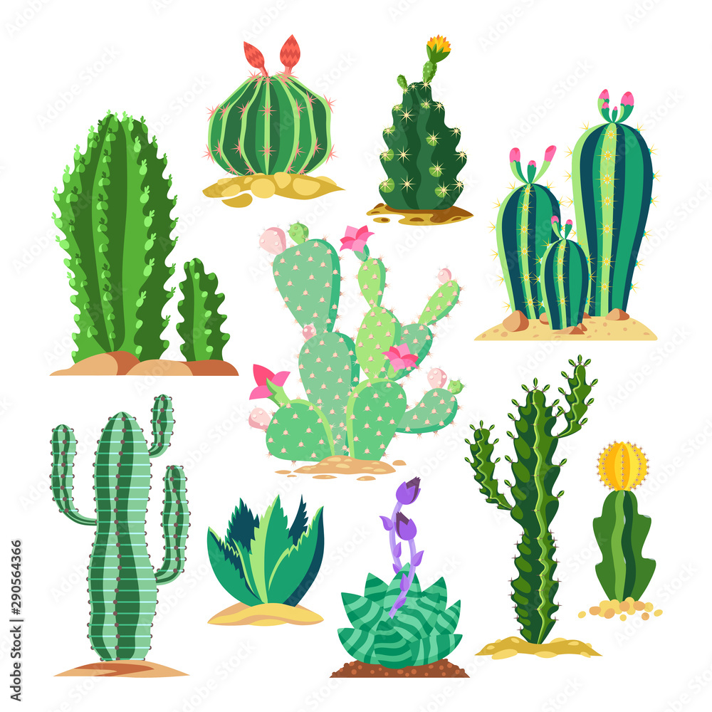 Set of wildlife cactus or succulent plant Set of wildlife cactus or succulent plant