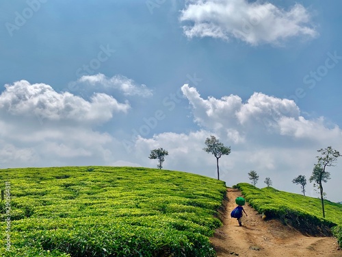 A woman with a load on her head walks up a road between green fields.