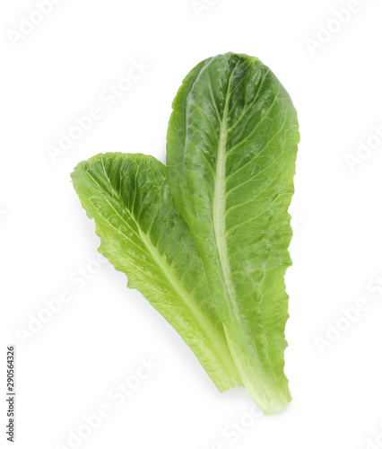 Fresh leaves of salad greens on white background