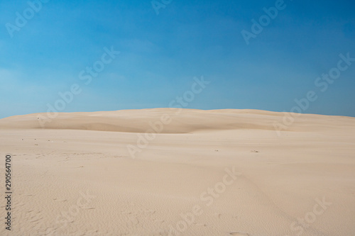 White sand dunes on a sunny day with bright blue sky in Slowinski National Park in Leba in Plonad