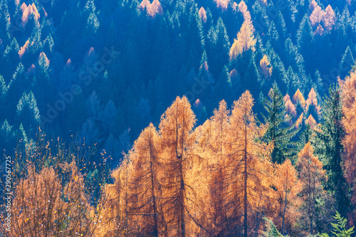 The colors of autumn in the Dolomites