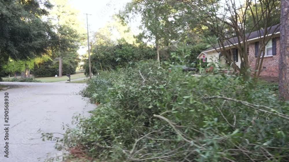 Dolly shot of a residential area with street and trees Dolly shot of a residential area with street and trees