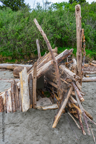 driftwood hut