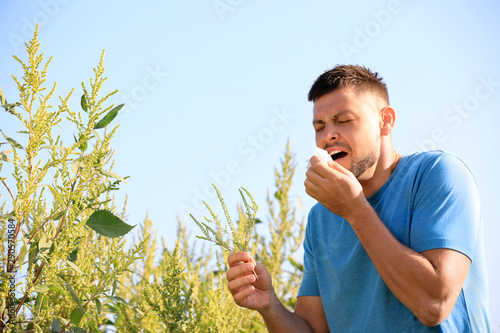 Man with ragweed branch suffering from allergy outdoors on sunny day photo