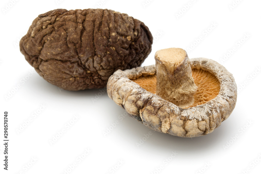 Dried Shiitake Mushroom isolated on white background Dried Shiitake Mushroom isolated on white background