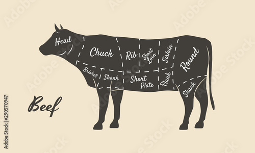 Meat diagram. Cuts of meat. Cow silhouette isolated on white background. Vintage poster for butcher shop, restaurant menu. Vector illustration