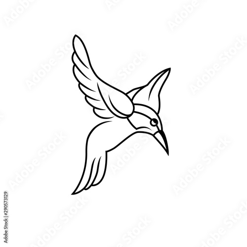 Colibri or humming bird icons. Vector isolated set of flying birds with spread flittering wings