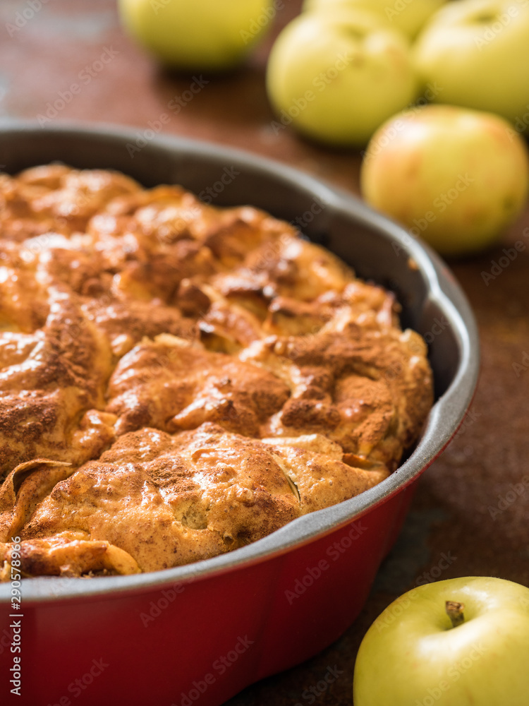 Closeup homemade apple pie with cinnamon. Useful dessert. Charlotte. Healthy food