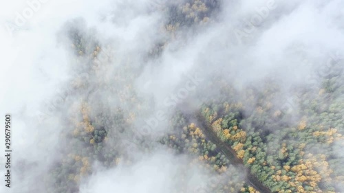 Autumn road. Low clouds. 4k photo