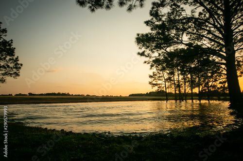 a pond lake at sunset with pine trees