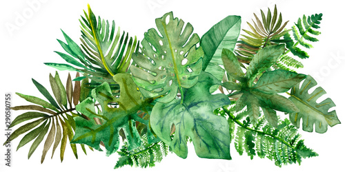 Watercolor hand painted nature jungle composition bouquet with different green tropical leaves collection on the white background for summer warm postcard