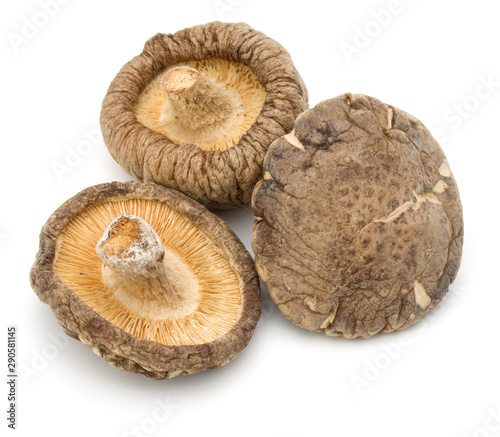 Dried Shiitake Mushroom isolated on white background