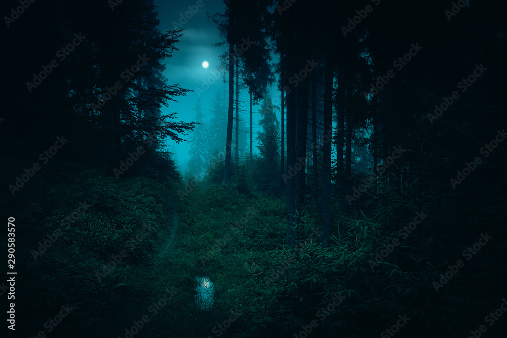 Footpath in the dark, foggy, mysterious forest. Full moon on the sky with reflection in the puddle on trail at spruce mystery night forest. Halloween backdrop.