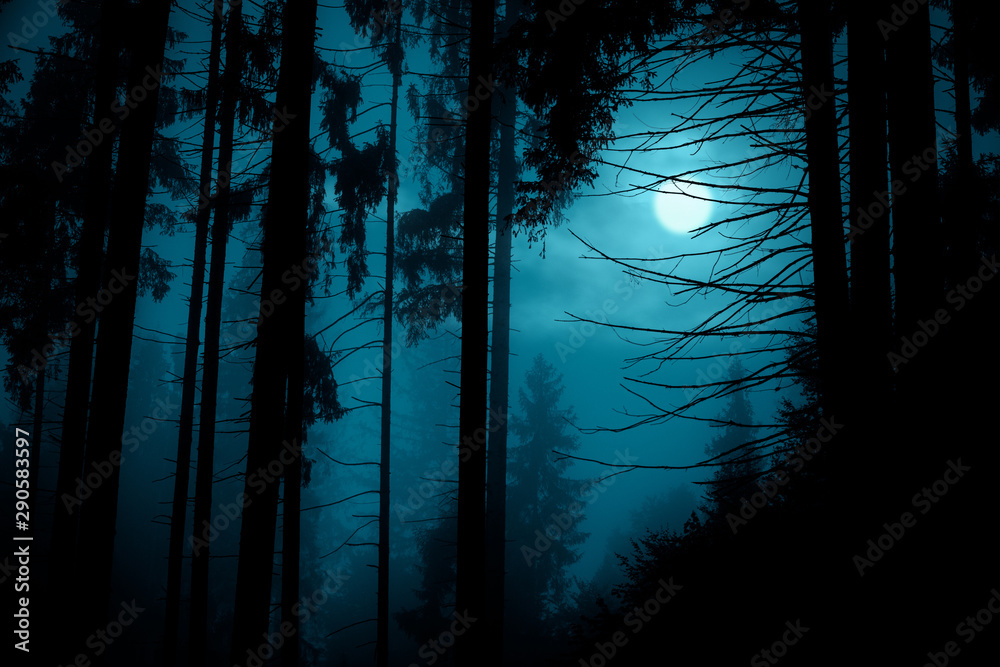 Fototapeta Full moon through the spruce trees in magic mystery night forest. Halloween backdrop.