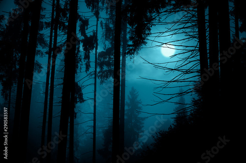 Fototapeta Naklejka Na Ścianę i Meble -  Full moon through the spruce trees in magic mystery night forest. Halloween backdrop.
