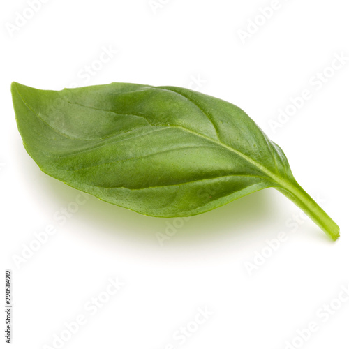 Sweet basil herb leaves isolated on white background closeup