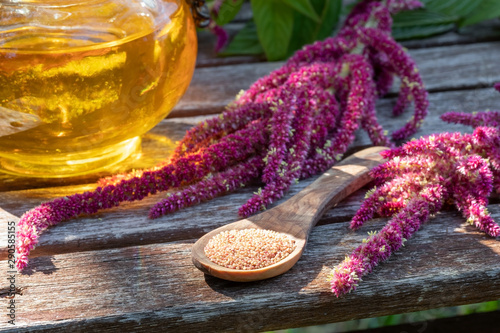 Amaranthus caudatus seeds, flowers and oil, outdoors photo