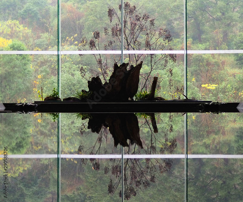 Tree reflecting in water photo