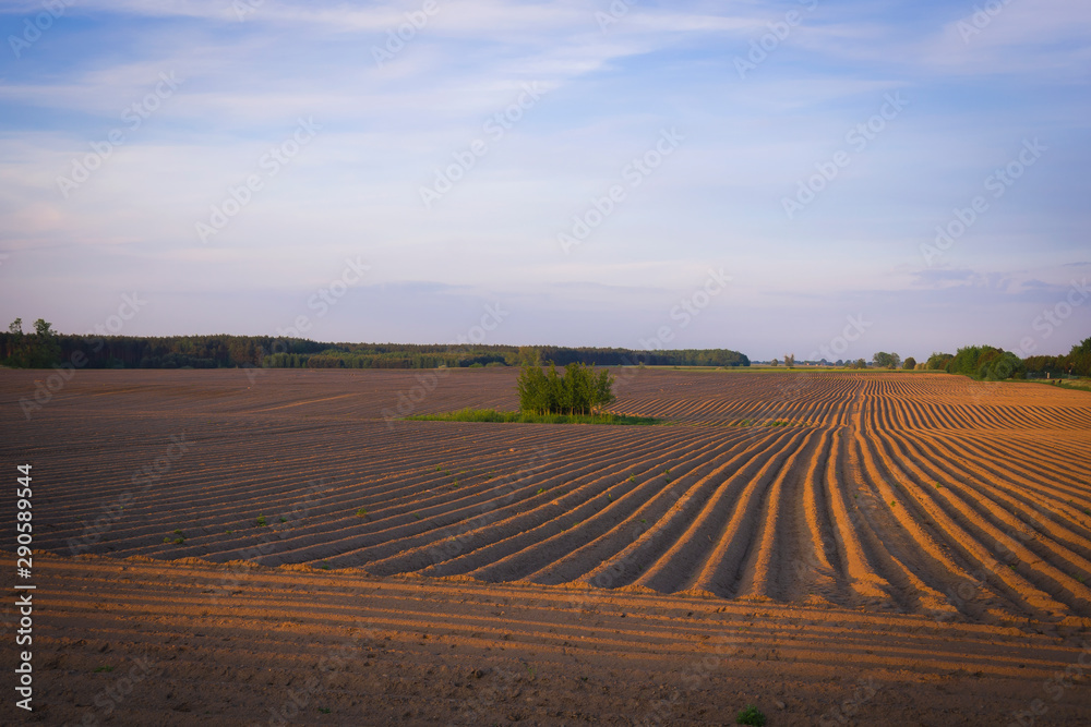 Field unearthed in autumn with furrows arable land even patterns in nature dirt agriculture cultivation symmetry blue sky horizon agriculture