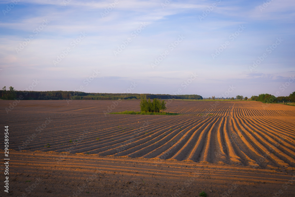 Field unearthed in autumn with furrows arable land even patterns in nature dirt agriculture cultivation symmetry blue sky horizon agriculture Field unearthed in autumn with furrows arable land even patterns in nature dirt agriculture cultivation symmetry blue sky horizon agriculture