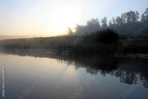 A small river in the middle of summer in the predawn fog. Unique image of the surrounding nature © jakov