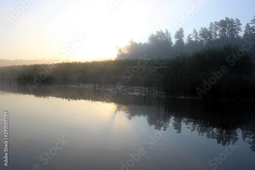 A small river in the middle of summer in the predawn fog. Unique image of the surrounding nature