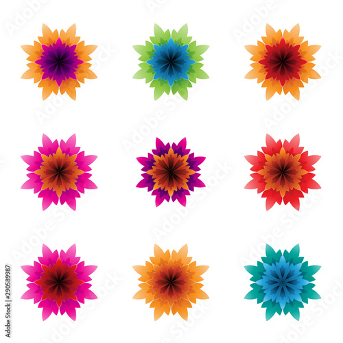 Colorful Bright Flowers with Spiky Petals Illustration © cidepix