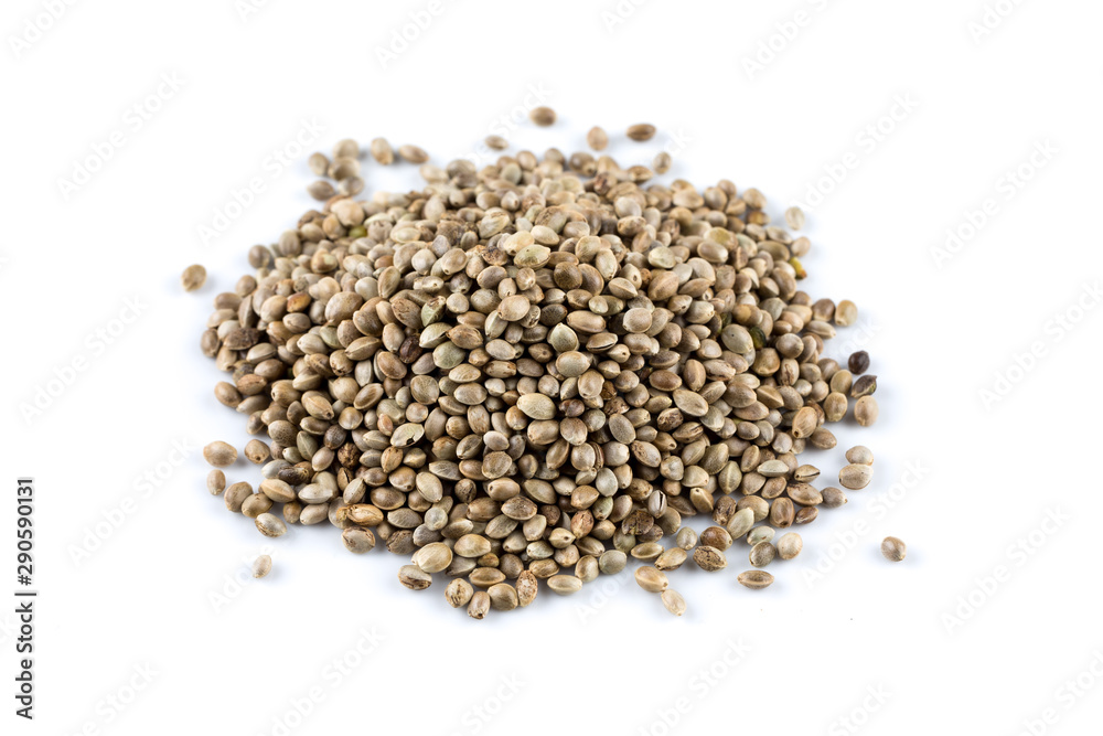Cannabis Hemp seeds close up macro shot isolated Cannabis Hemp seeds close up macro shot isolated