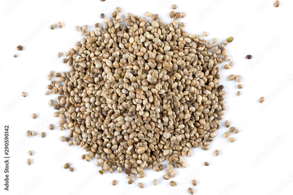 Cannabis Hemp seeds close up macro shot isolated Cannabis Hemp seeds close up macro shot isolated