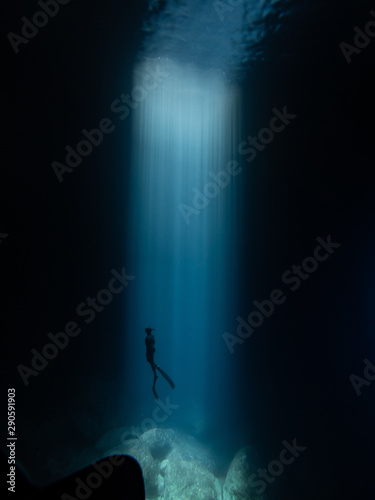 Diver in sea photo