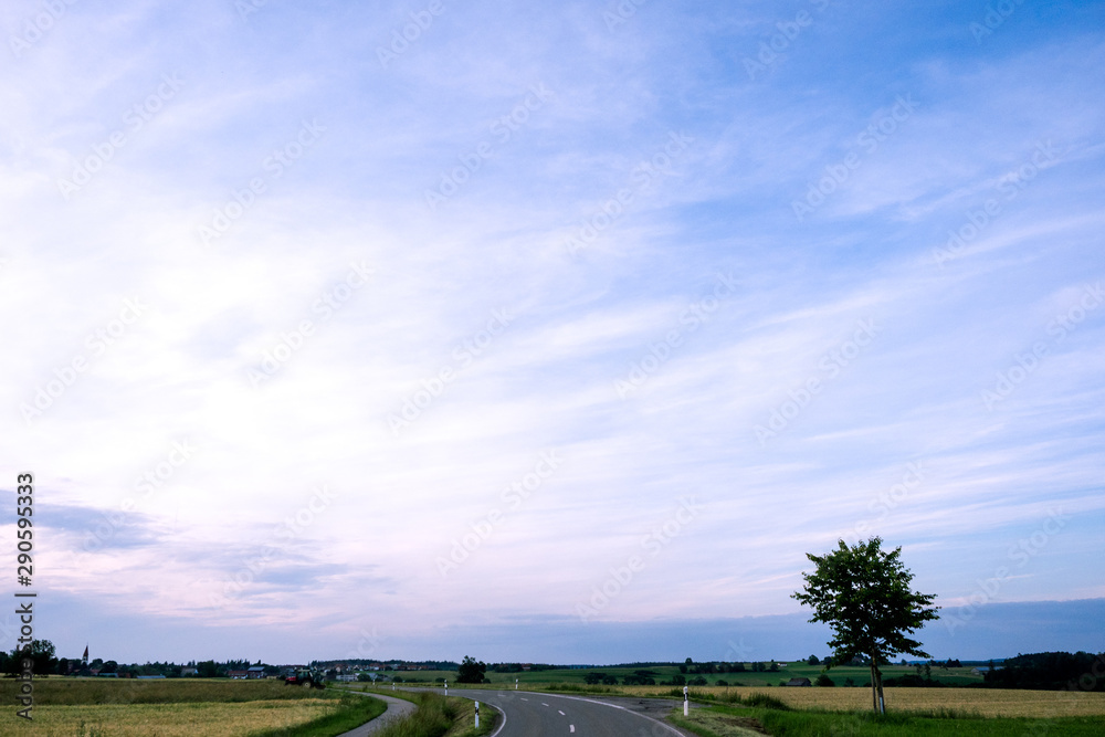 Obraz premium M.L.S.