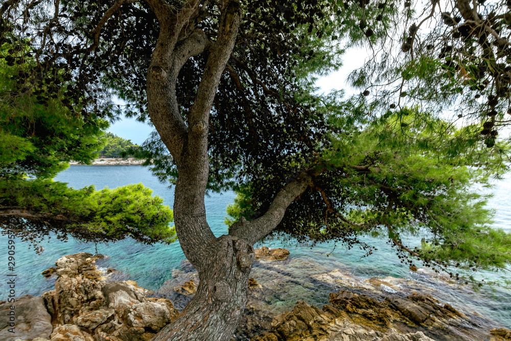 Fototapeta premium Views of the Adriatic Sea - clear blue water, rocky shore. Sea cruise in a paradise