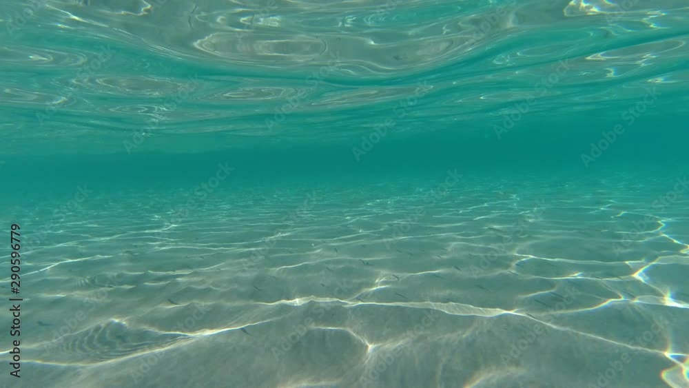 Underwater video of turquoise exotic open ocean sea bed in Caribbean sandy island beach Underwater video of turquoise exotic open ocean sea bed in Caribbean sandy island beach