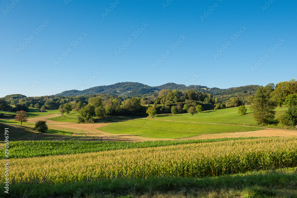 Landschaft im Schwarzwald / Deutschland
