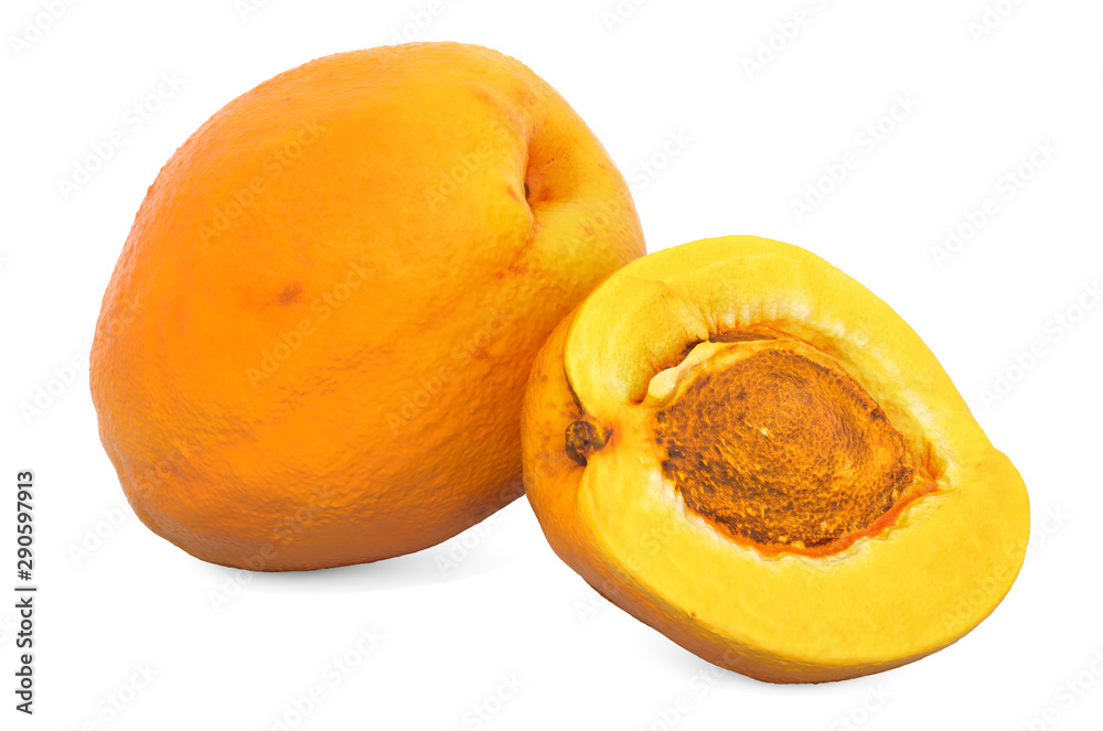 Apricot 3d rendering with realistic texture