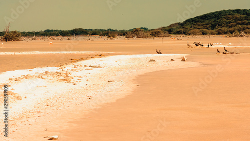 Las Coloradas beach in Merida Yucatan Mexico  famous for its pink sand. Sunset in the Caribbean.