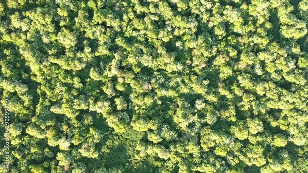 Réserve naturelle de l'estuaire de l'Orne